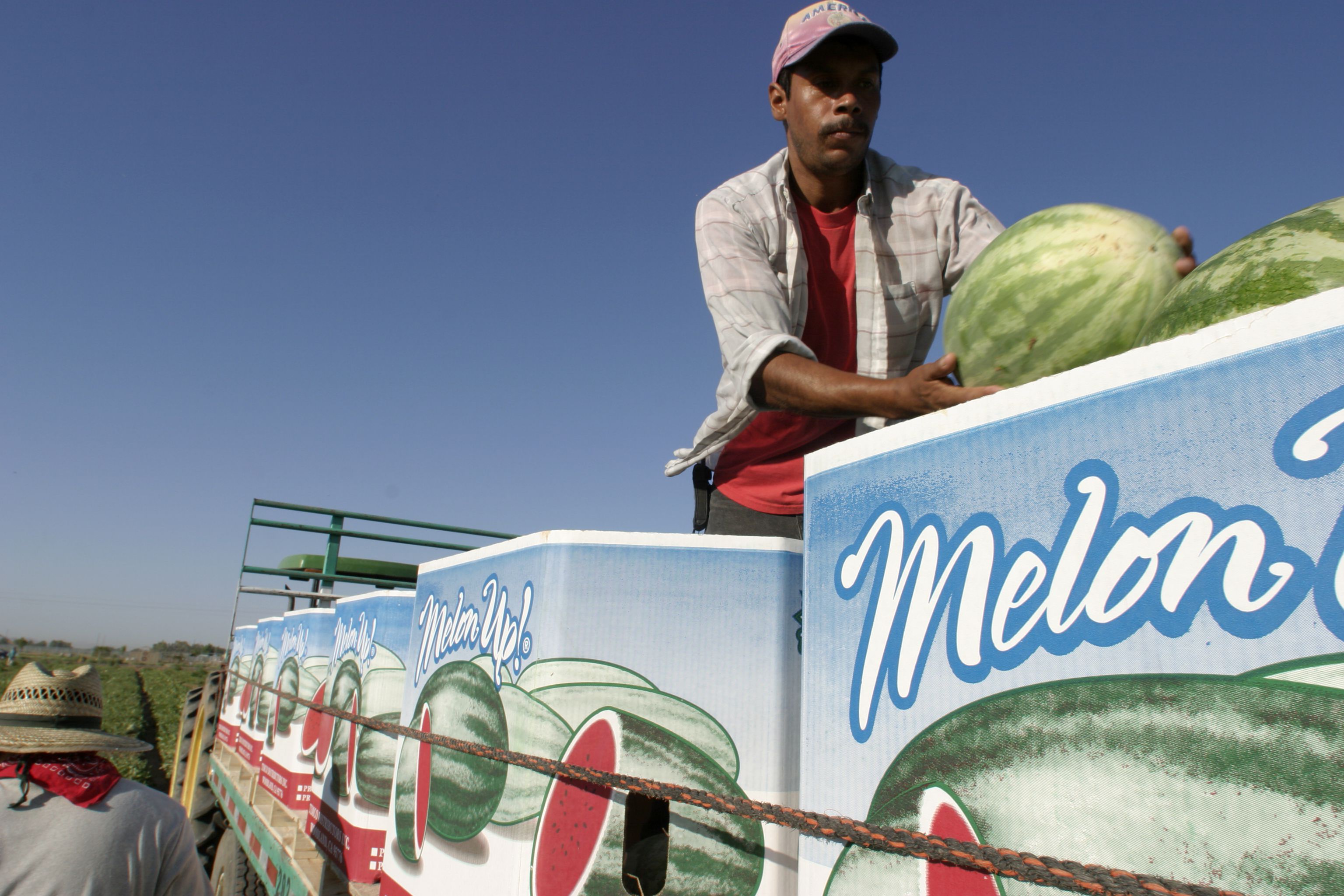 Arizona is Good at Growing Melons